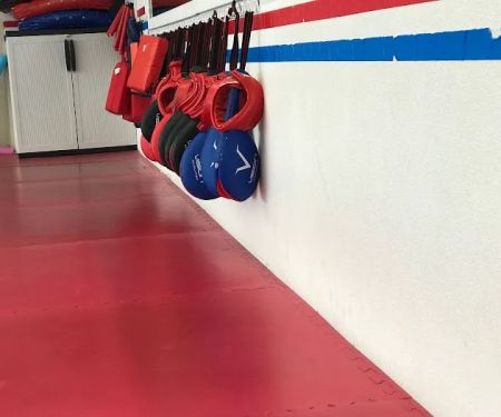 Tiger Taekwondo Academy