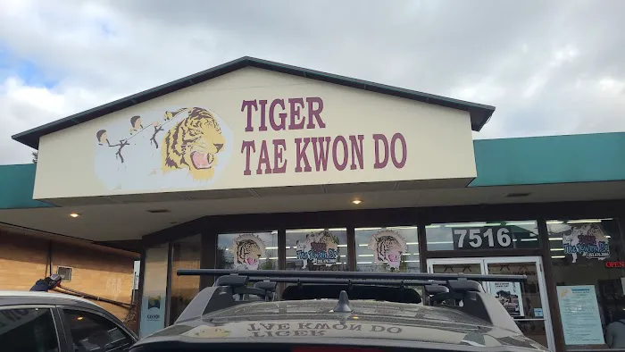 Tiger Taekwondo Academy Picture 3