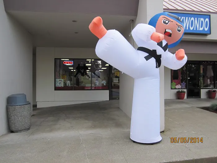 Tiger Taekwondo Academy Picture 4