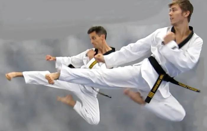 Tiger Taekwondo Academy Picture 10