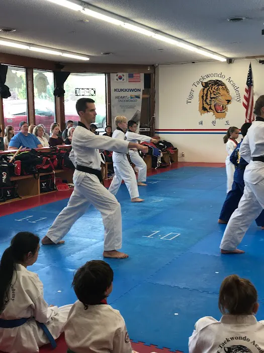 Tiger Taekwondo Academy Picture 7