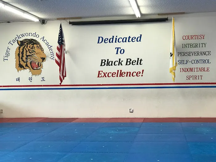 Tiger Taekwondo Academy Picture 6