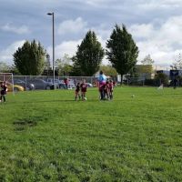 Lakewood Family YMCA ico