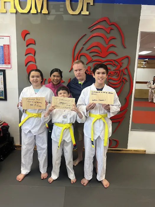 Master Shin's Taekwondo Picture 3