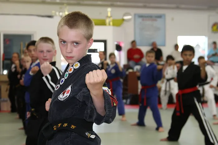 Master Shin's Taekwondo Picture 8