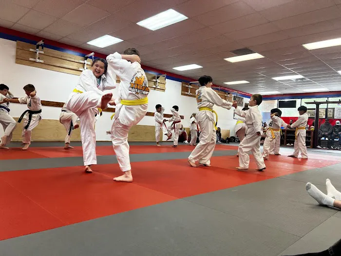 Master Shin's Taekwondo Picture 5