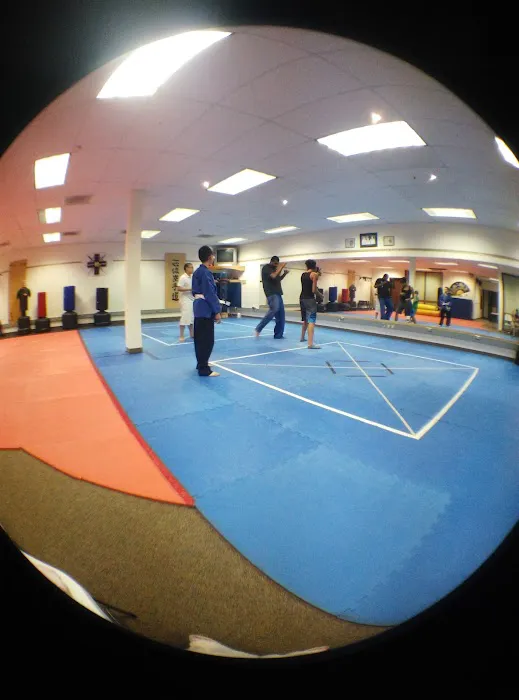 Barners Blue Dragons Picture 10