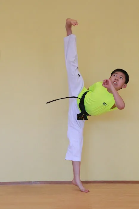 Tiger Kim's Pro Tae Kwon Do Picture 1