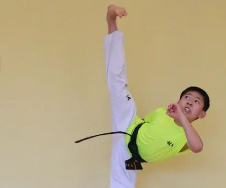 Tiger Kim's Pro Tae Kwon Do