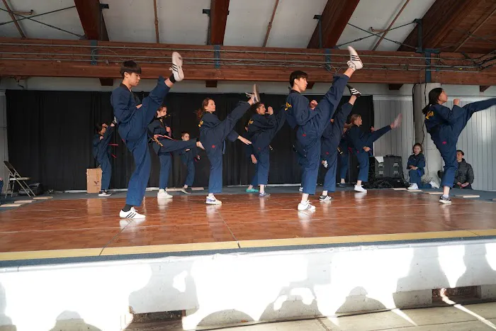 Tiger Kim's Pro Tae Kwon Do Picture 2