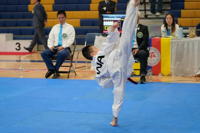 Tiger Kim's Pro Tae Kwon Do Picture 10