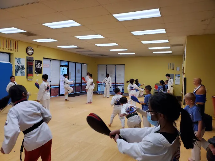 Tiger Kim's Pro Tae Kwon Do Picture 9