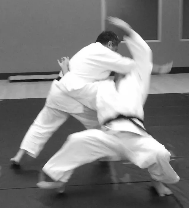 Yoshinkan Aikido Puget Sound Picture 2