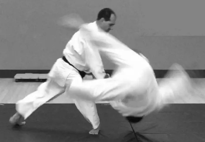 Yoshinkan Aikido Puget Sound Picture 5