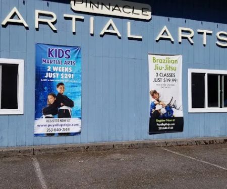 Pinnacle Martial Arts