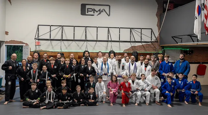 Pinnacle Martial Arts Picture 4