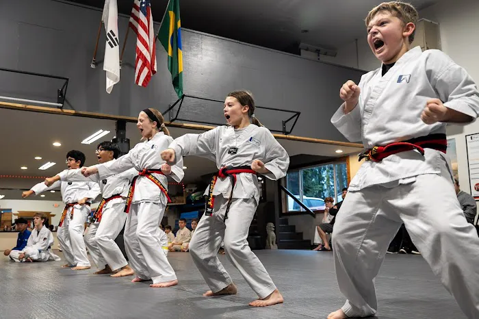 Pinnacle Martial Arts Picture 3