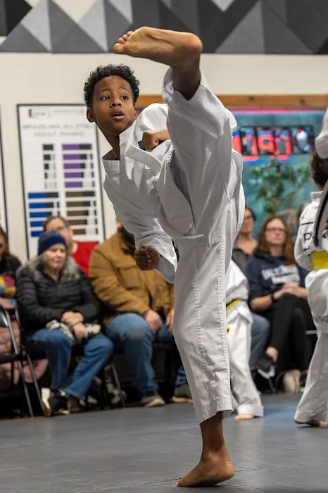 Pinnacle Martial Arts Picture 9