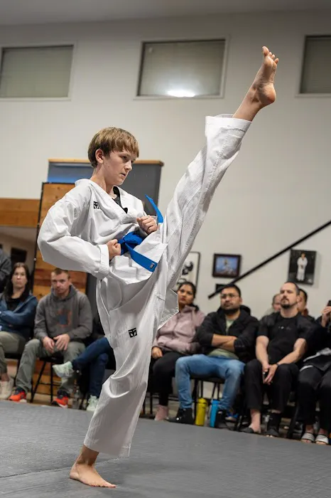 Pinnacle Martial Arts Picture 8