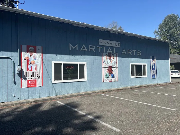 Pinnacle Martial Arts Picture 7