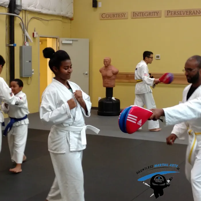 Dauntless Martial Arts Picture 3