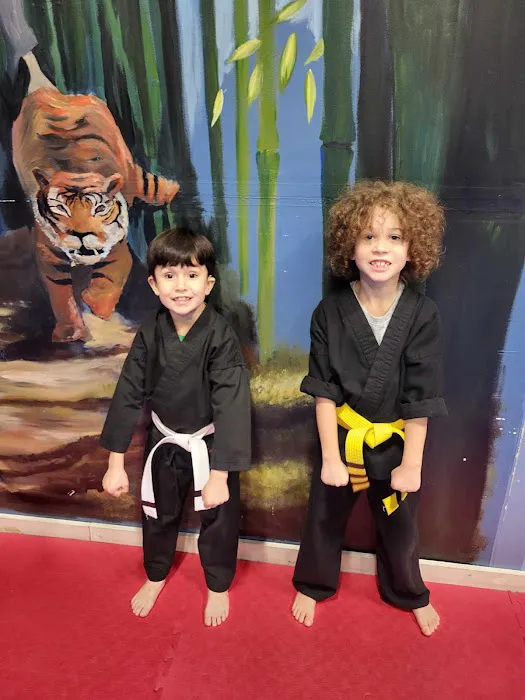 Kiai Martial Arts Picture 7