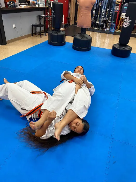 Black Dragons Federation Picture 3