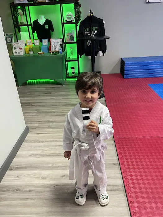 Virtue Taekwondo Picture 2