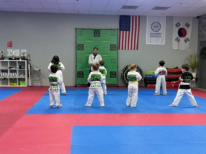 Virtue Taekwondo Picture 1