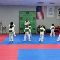 Virtue Taekwondo ico