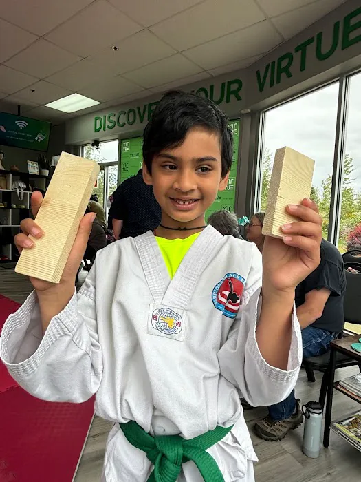 Virtue Taekwondo Picture 4