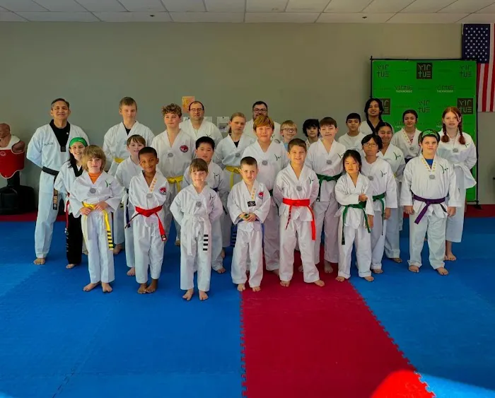 Virtue Taekwondo Picture 3