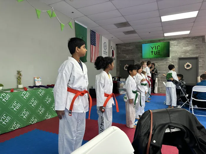 Virtue Taekwondo Picture 5