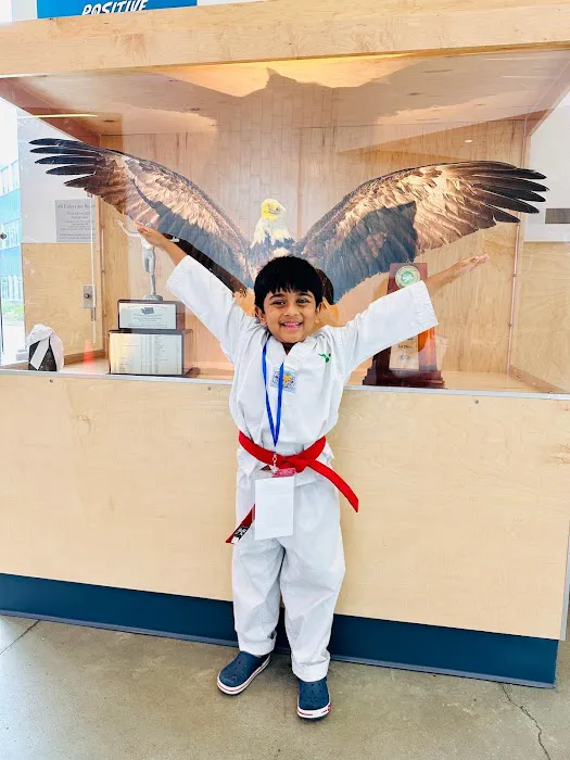 Virtue Taekwondo Picture 6