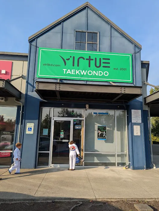 Virtue Taekwondo Picture 10