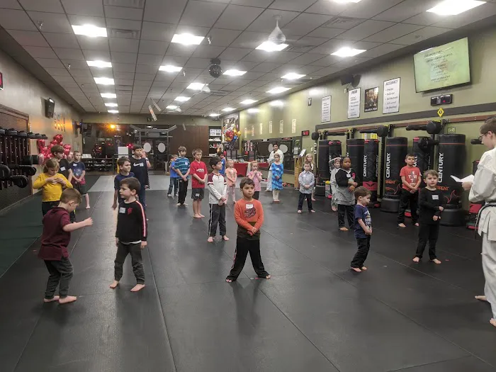 Two Dragons Karate Picture 1