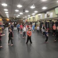 Two Dragons Karate ico