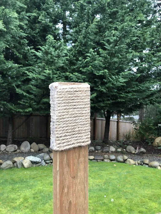 Two Dragons Karate Picture 3