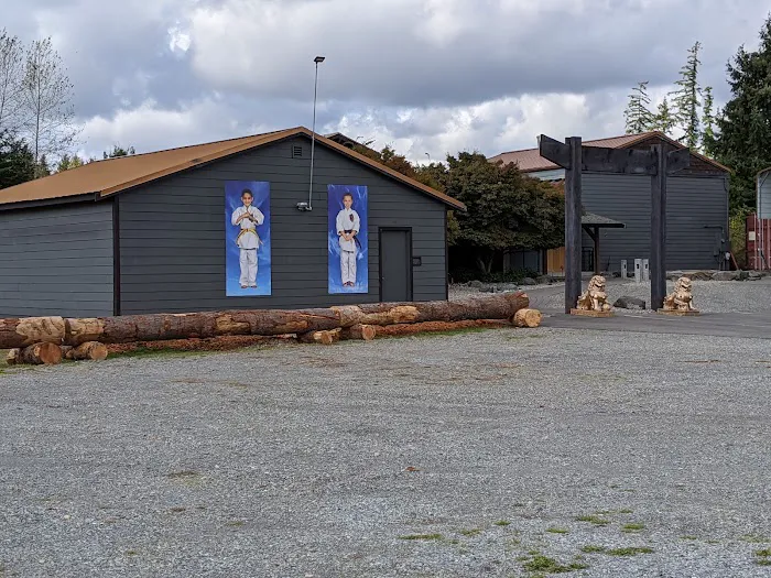 Two Dragons Karate Picture 8