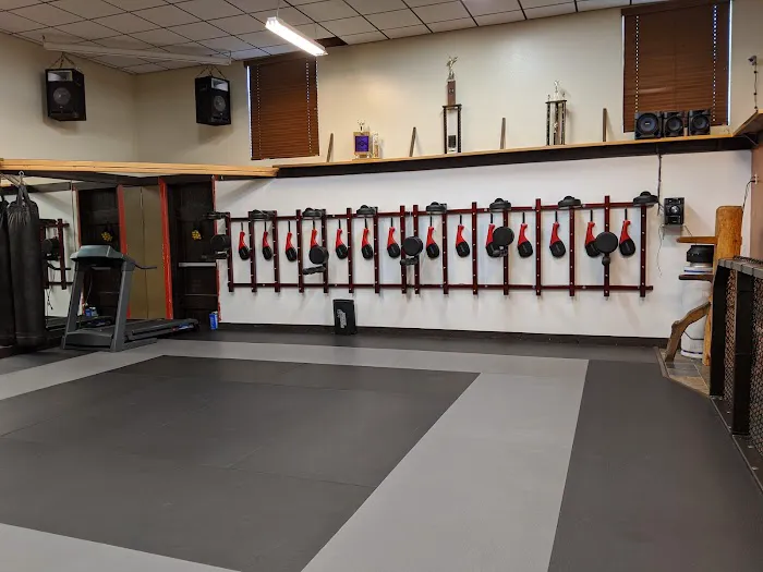 Two Dragons Karate Picture 9