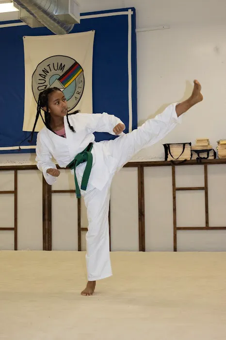 Quantum Martial Arts Tacoma Picture 5
