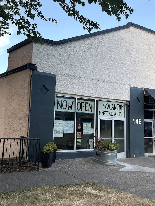 Quantum Martial Arts Tacoma Picture 9