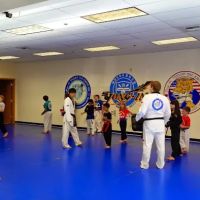 Yong In Taigon Taekwondo, Inc. ico