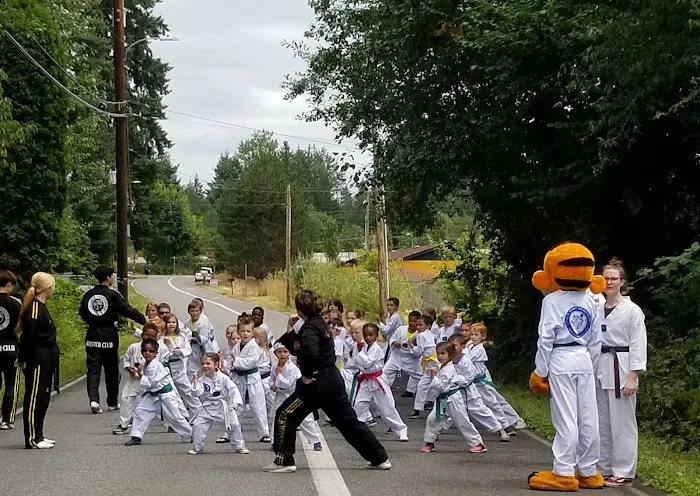 Yong In Taigon Taekwondo, Inc. Picture 8