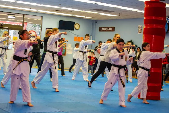 USTA Martial Arts-Smokey Point Picture 1