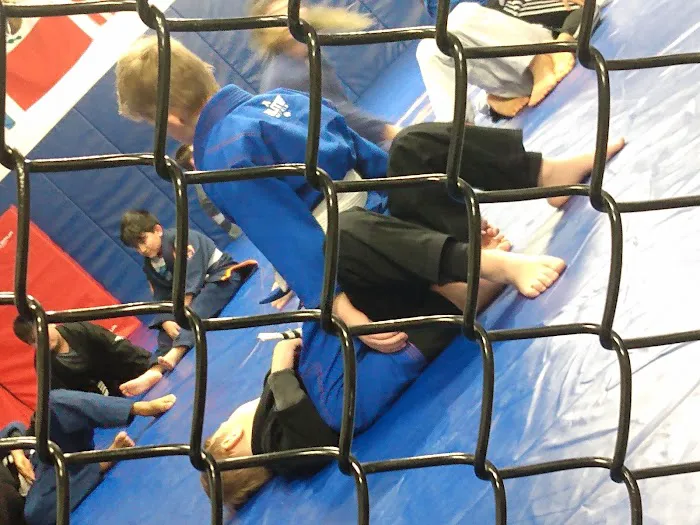 AKA MMA & Fitness Picture 4