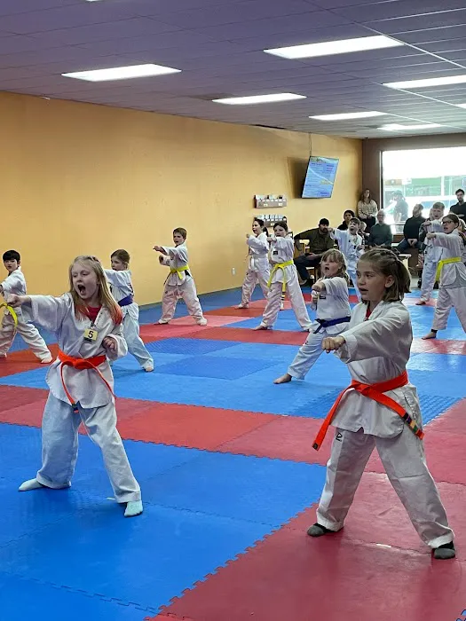 USTA Martial Arts-Arlington Picture 2