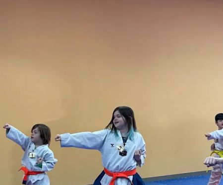 USTA Martial Arts-Arlington