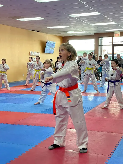 USTA Martial Arts-Arlington Picture 8