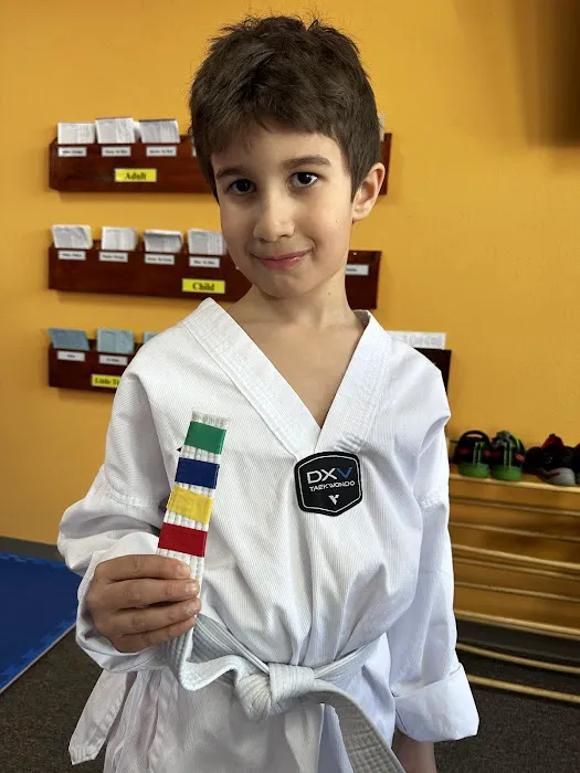 USTA Martial Arts-Arlington Picture 6